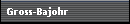 Gross-Bajohr