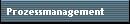 Prozessmanagement