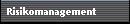 Risikomanagement