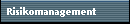 Risikomanagement